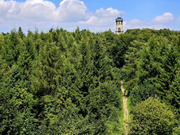 Výhľad na Hochwald