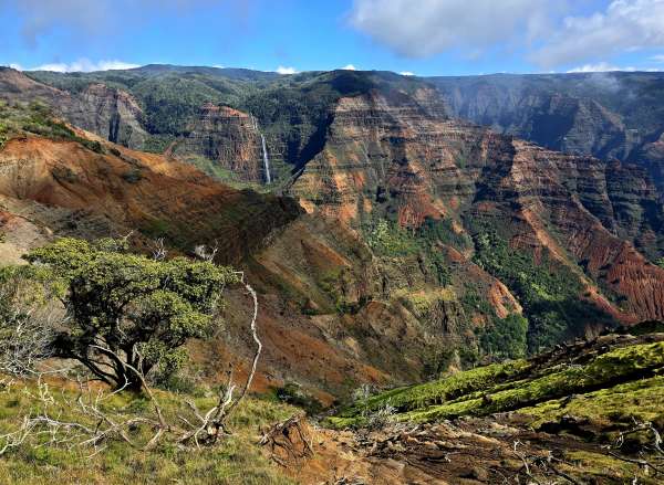 Prospect non officiel