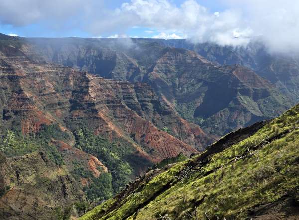 Canyon de Waimea