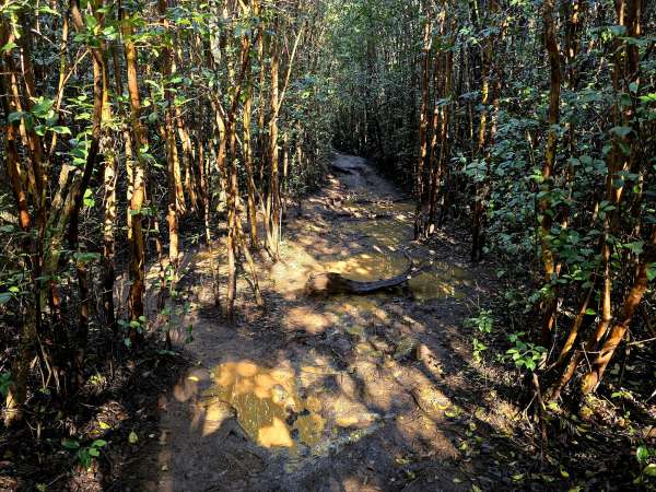 Sentier de la falaise