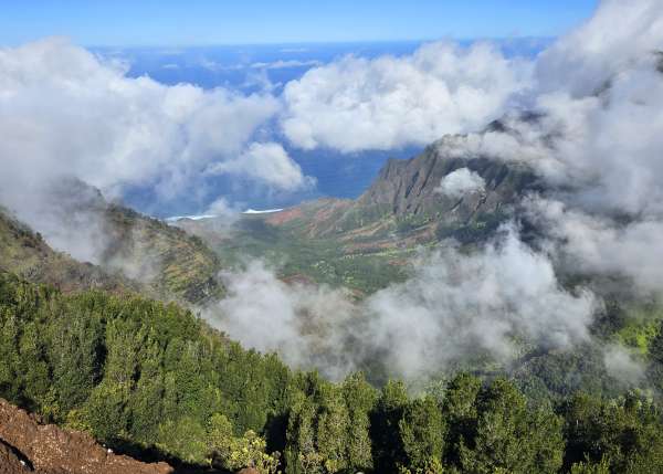 Uitzicht op de oceaan