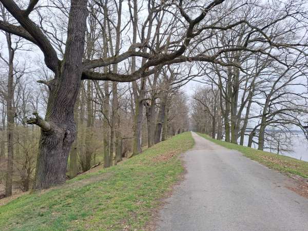Monumentálna hrádza