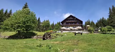 Bučina