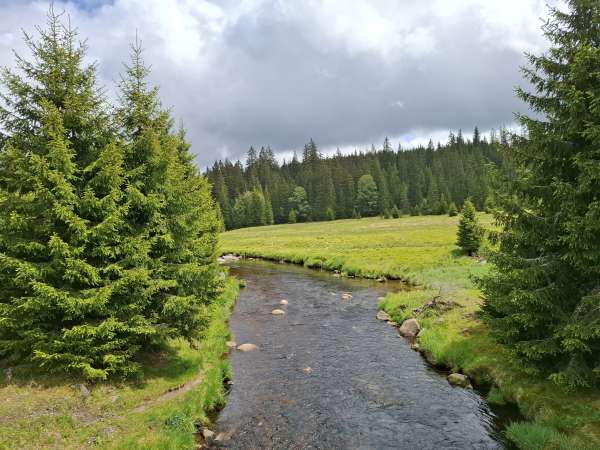 Uzavřená oblast