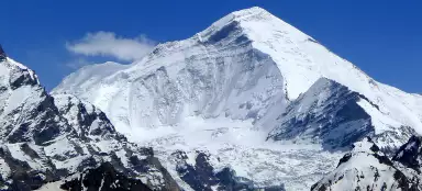 Suora