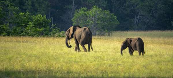 Gabon: Počasie a sezóna