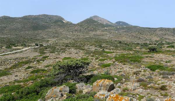 The arid hillside of Profitis Ilias 