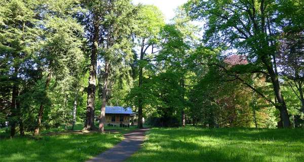 Bukowina Arboretum