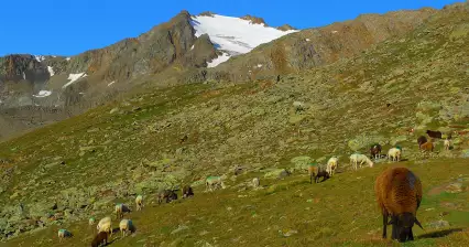 Hauslabkogel