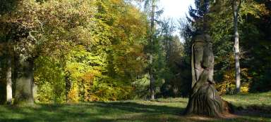 Arboreto da Bucovina