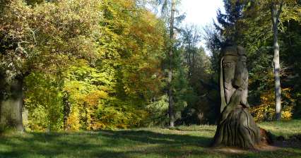 Arboreto de Bucovina