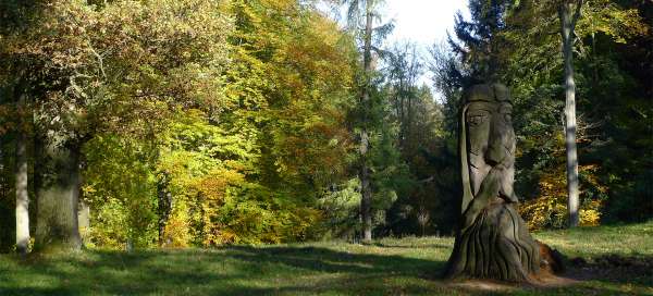 Arboretum Bukovina: Počasí a sezóna