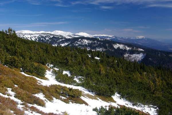 The first views
