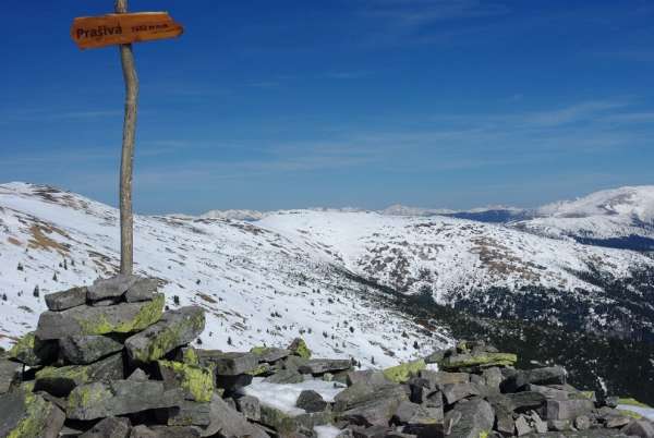 The top of Prašivá (1 652 m asl)