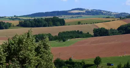 Zvičina