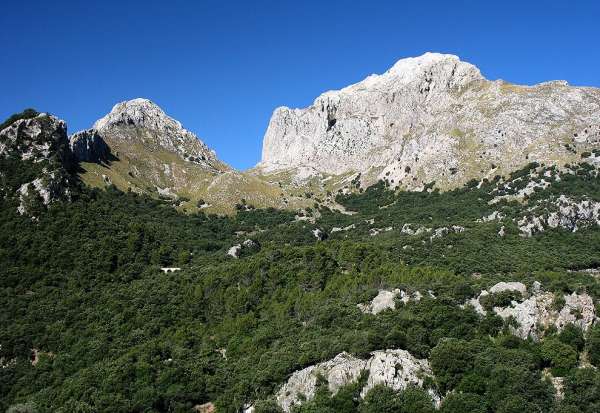 Veduta del Puig Major