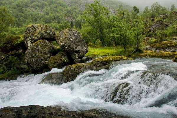 Bondhuselva