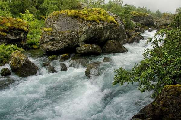 Bondhuselva