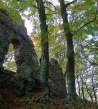 Bradlec castle ruins