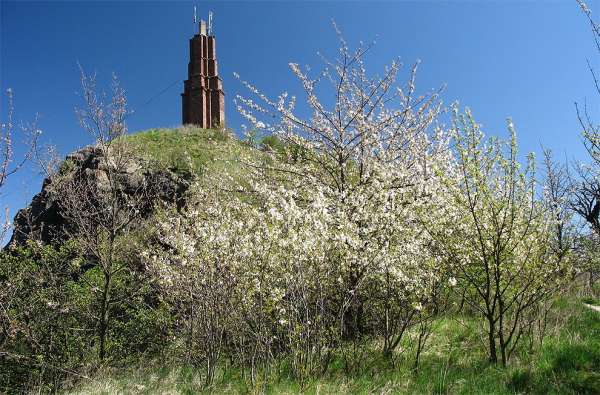 Veliš in the spring