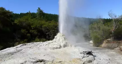 Lady Knox Geyser