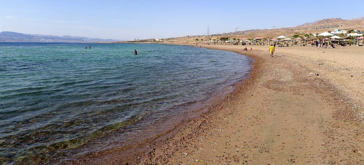 约旦: 海滩和游泳