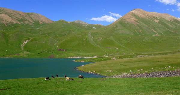 Estremità meridionale del lago