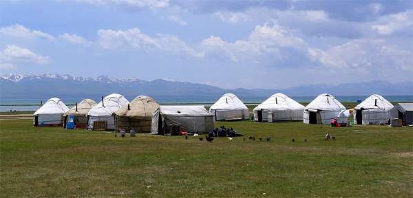 Acampamento Yurt