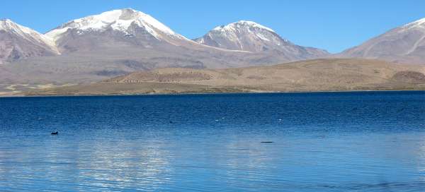 Lago Chungara: Visa