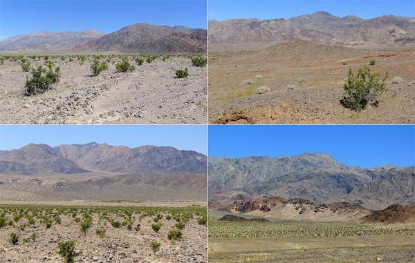 Death Valley Landschaft