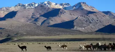 Cerro Condoriri (Sajama)