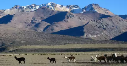 Cerro Condoriri (Sajama)