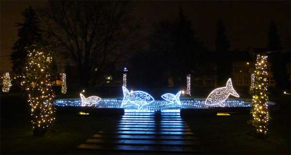 Brunnen mitten im Schlossgarten