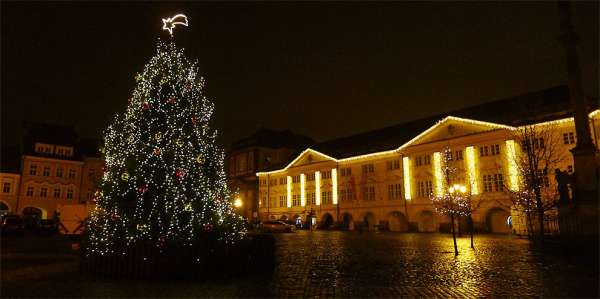 Christmas Wallenstein Square