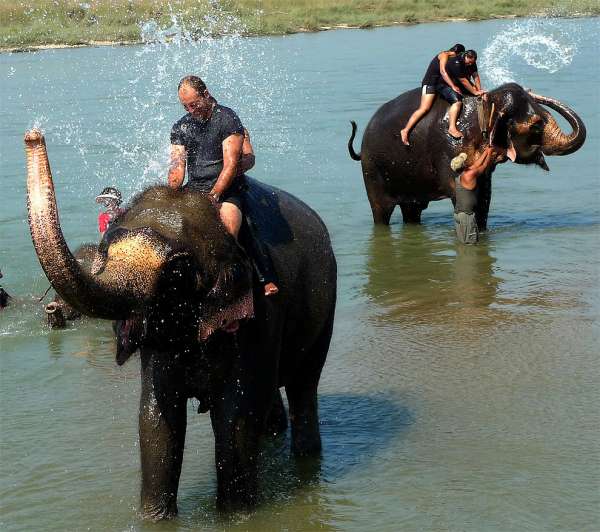 Tomando banho com elefantes