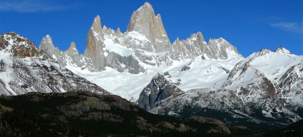 National park Los Glaciares: Nature