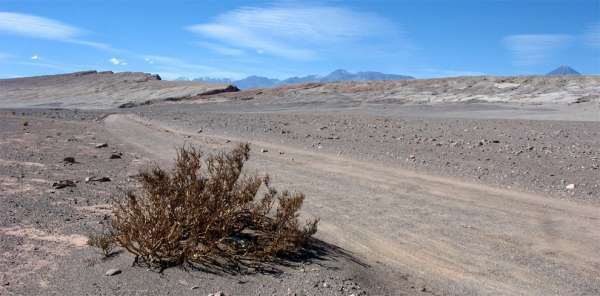 Blick zurück ins Death Valley