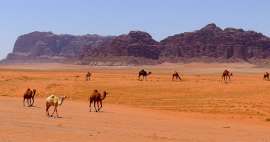 Uma viagem ao deserto de Wadi Rum