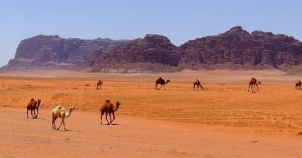 Een reis naar de Wadi Rum-woestijn