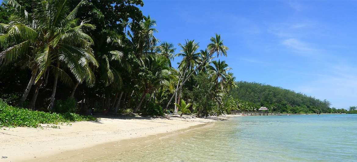 Fidži: Cestování