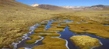 아마존의 근원지로의 트레킹