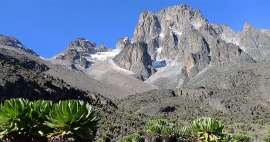 Přechod Mount Kenya