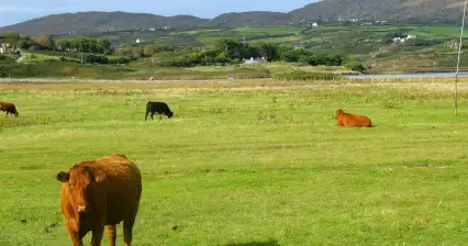 Irlanda