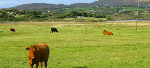 Irlandia: Pogoda i pora roku