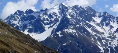 Hohe Geige