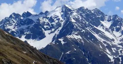 Hohe Geige