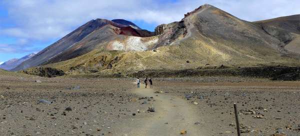 Wycieczka do Parku Narodowego Tongariro: Zakwaterowanie