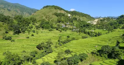 Tour di Nadi Bazar - Bahundanda