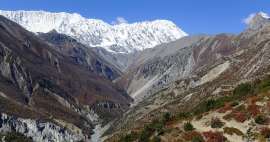Hike through Upper Khangsar