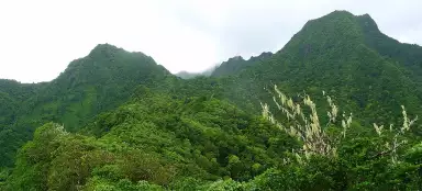 라로통가 횡단 트레킹